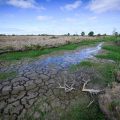 La sécheresse en France atteint des niveaux historiques en septembre