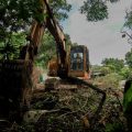 Transformation de Hong Kong pour la Northern Metropolis