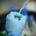 Les avancées des vaccins anti-cancer : promesses et défis