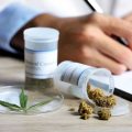Le blocage persistant de l&rsquo;autorisation du cannabis médical en France