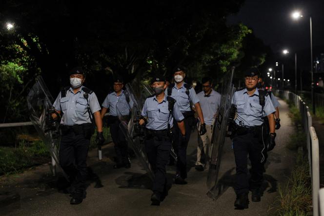 31ceded4-41a2-473d-8ea4-c81b22746299 Une jeune femme attaquée par des chiens errants à Hongkong