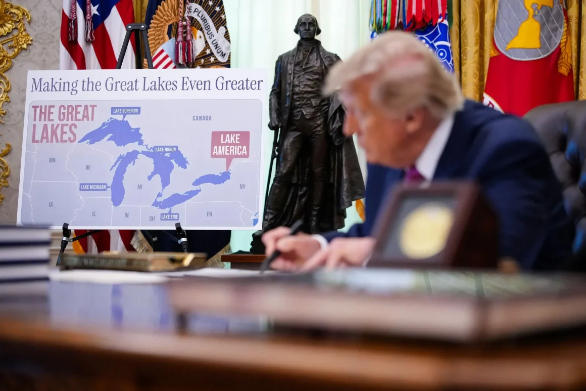 408141e0-ea44-4500-9fea-b6242bd89475 Le rôle central de Trump dans les élections américaines