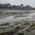 Crise de l&rsquo;eau sur la Garonne : un défi climatique et environnemental