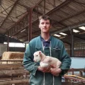 Restauration de la briqueterie du Vertin : Un patrimoine à découvrir