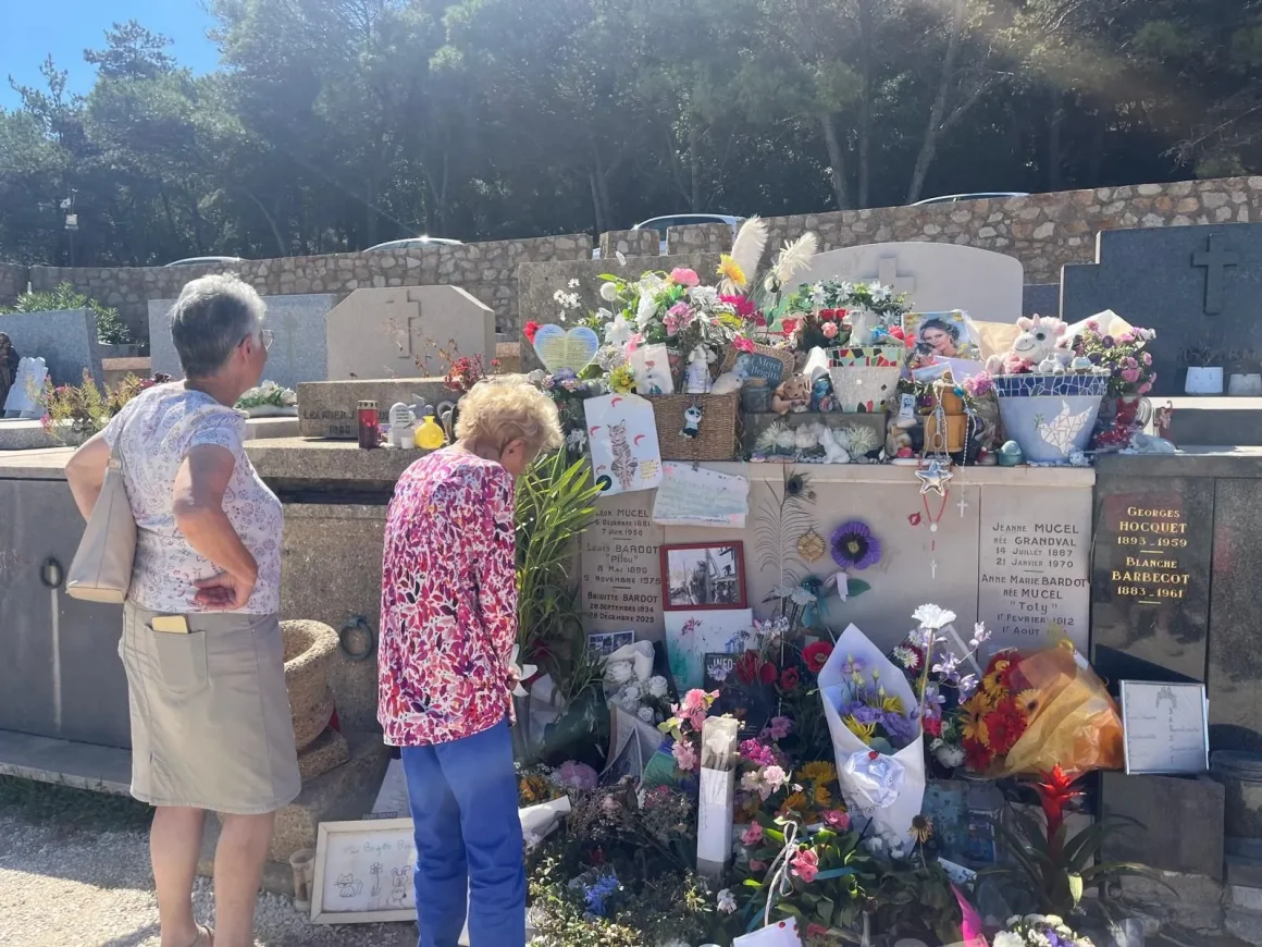 La collection personnelle de Brigitte Bardot mise aux enchères à Paris