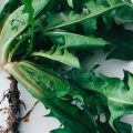 Nutrition saine pour les sportifs avec Angèle Ferreux-Maeght