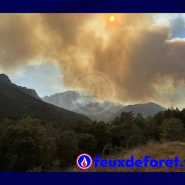 Incendie à Puilaurens : Évacuations et Interventions en Cours