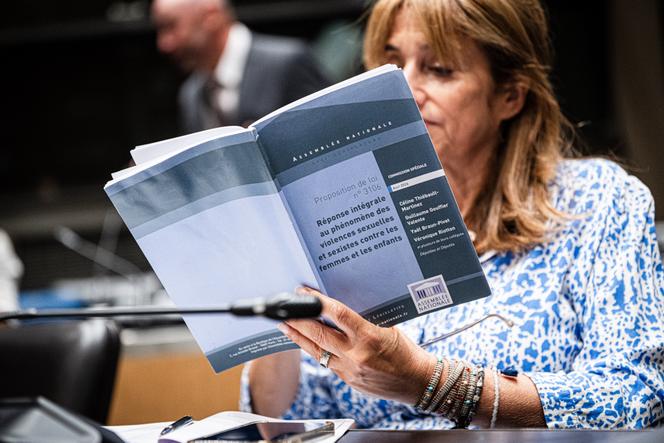 8a8a66b1-d35a-4dbf-8561-a0fd91000a02 La commission spéciale examine la loi sur les violences sexuelles