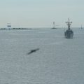 Incident de Drone en Pologne et Attaques en Ukraine
