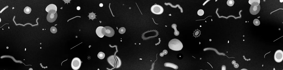 8d0787f4-5a39-4513-9e9f-1aadc93ad4c9 Exploration du thème du parasite à travers des récits horrifiques
