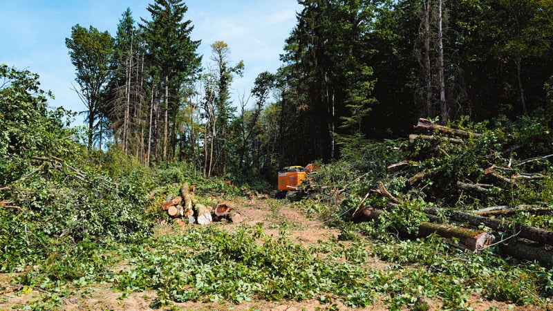 8f1b4888-d6f5-4535-9046-e210a9e9721d Manifestations contre le projet autoroutier A412 en Haute-Savoie