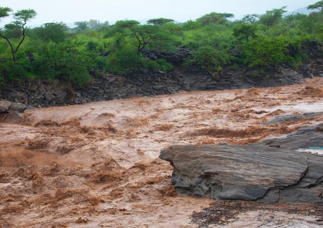 97caa337-2e41-4a65-91c7-e6d33666bba5 El Niño : Préparations face à un Phénomène Météorologique Imminent