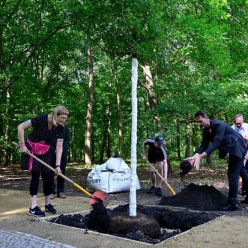 998676c5-b7da-4fca-bbec-94b9953f7269 Vandalisme à Berlin : un arbre commémoratif détruit après l’attentat de la Marche des fiertés