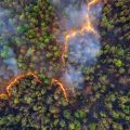 Partenariat spatial pour la détection des incendies de forêt, Eutelsat et OroraTech