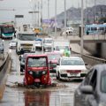 L&rsquo;Impact Dévastateur d&rsquo;El Niño sur l&rsquo;Écosystème Marin au Pérou