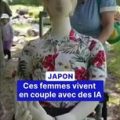Des femmes japonaises en couple avec des IA