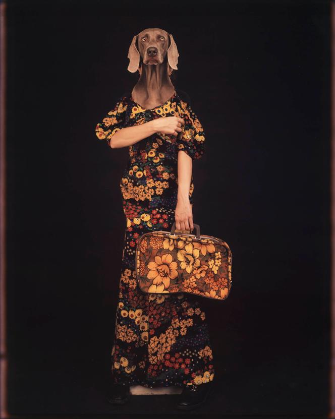 ac62b120-da12-42f7-aa4a-a08a4bb85d8e Sélection d’expositions artistiques automnales