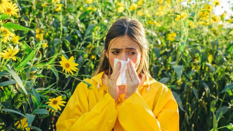 b2c47dc4-0fcc-4665-9add-616b147358e2 Les Facteurs Affectant les Allergies Environnementales chez les Femmes après la Grossesse