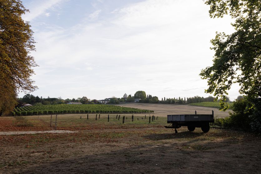 b807674c-a51d-4c18-9e1e-2b4bf459170c L’Adaptation des Vignerons Bordelais face aux Changements Climatiques