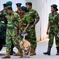 Justice rendue pour les attentats de Pâques 2019 au Sri Lanka