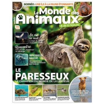 c01944a0-0ca4-4c89-9cc0-54ecfe094bc0 Le Sommeil des Chiens et son Potentiel Rêveur