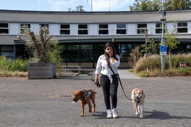 c9f74ffb-e356-413c-9591-f327ea6c65e7 Prise en charge des enfants avec des problèmes psychiatriques aux Pays-Bas