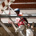 Amélioration de l&rsquo;habitabilité des logements face aux fortes chaleurs