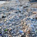 Mobilisation pour le nettoyage du littoral du Finistère