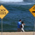 Incident de requin en Australie : Un surfeur attaqué près de Perth
