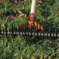 Prendre soin de votre pelouse après un été sec