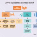 Impact environnemental de la production de drogues de synthèse : une menace sous-estimée