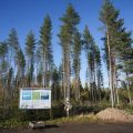 Google et l&rsquo;arrêt temporaire des travaux de centres de données en Finlande