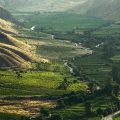 La renaissance viticole de la région de Vayots Dzor