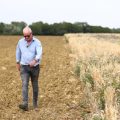 Les Nouveaux Subsidies Agricoles en Angleterre Après le Brexit