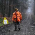 La cohabitation difficile entre chasseurs et sportifs en forêt