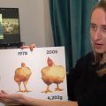 Révolution dans l&rsquo;élevage de poulets en France