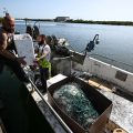 L&rsquo;État verse une avance sur les aides au carburant pour soutenir les pêcheurs