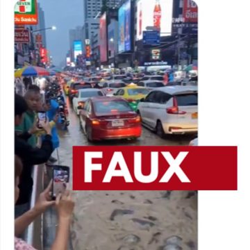 Vidéo virale: Poissons-chats dans les rues de Bangkok ou contenu IA?