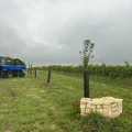 Adaptation climatique et innovations viticoles
