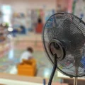 La suppression du programme ACTEE : une déception pour les élus