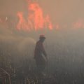 Incendies en Indonésie : la situation préoccupante