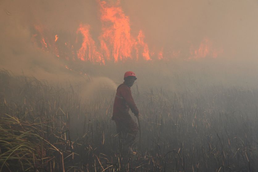 Wildfire breaks out in Indonesia Incendies en Indonésie : la situation préoccupante
