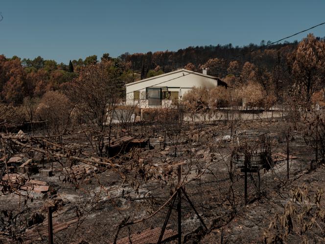 aee6f4e1-dacf-4ec0-8ae9-281d24f8e4db La valeur des incendies évités dans le Var