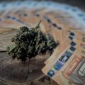 Les rouages du blanchiment d&rsquo;argent liés aux fraudes et trafics en 2025