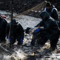 El Niño et ses conséquences dramatiques sur la pêche mondiale