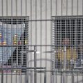Kevin Tessier – Un Dossier au Cœur de la Justice